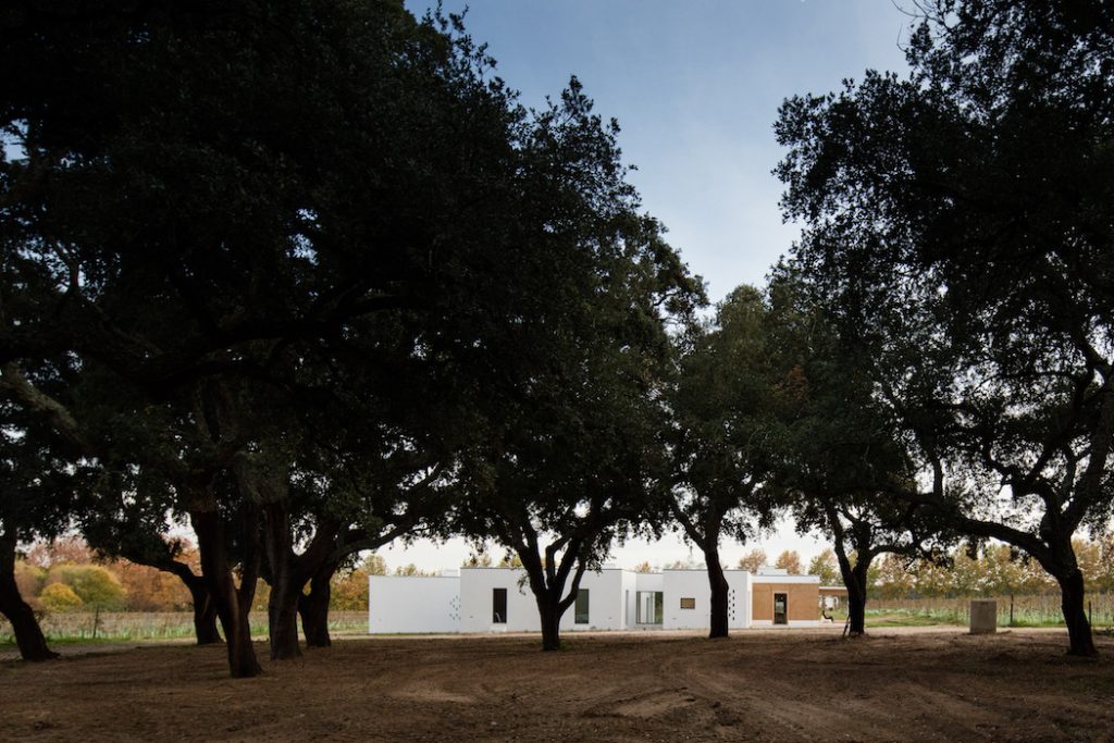 a minimal house in portugal surrounded by vines 13 1024x683 a Minimal House in Portugal Surrounded by Vines