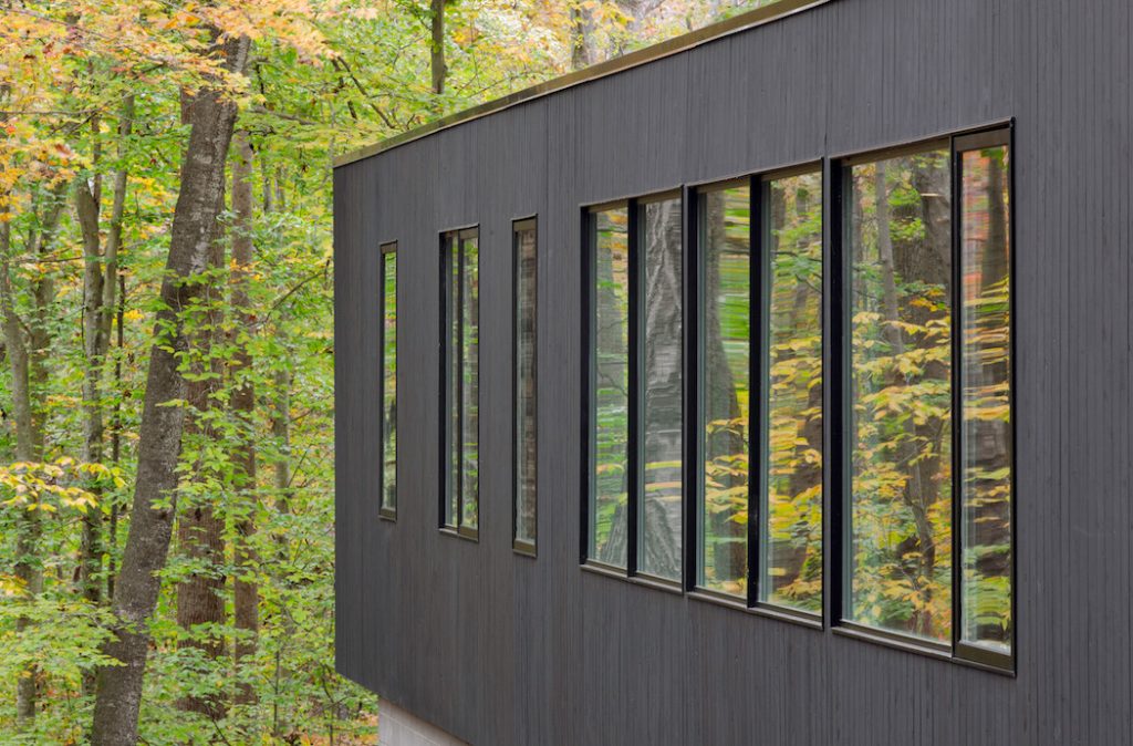 black house hidden in the forest by in situ studio 6 1024x674 Black House Hidden In The Forest By in situ studio