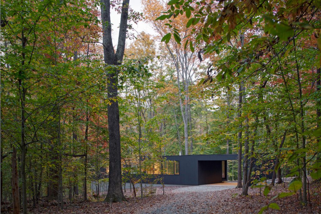 black house hidden in the forest by in situ studio 9 1024x683 Black House Hidden In The Forest By in situ studio