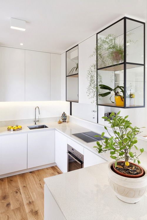 glass upper cabinets as a mini gardens 25 Indoor Garden Ideas