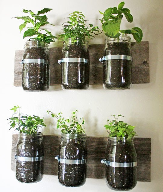jars mounted to the wall 25 Indoor Garden Ideas