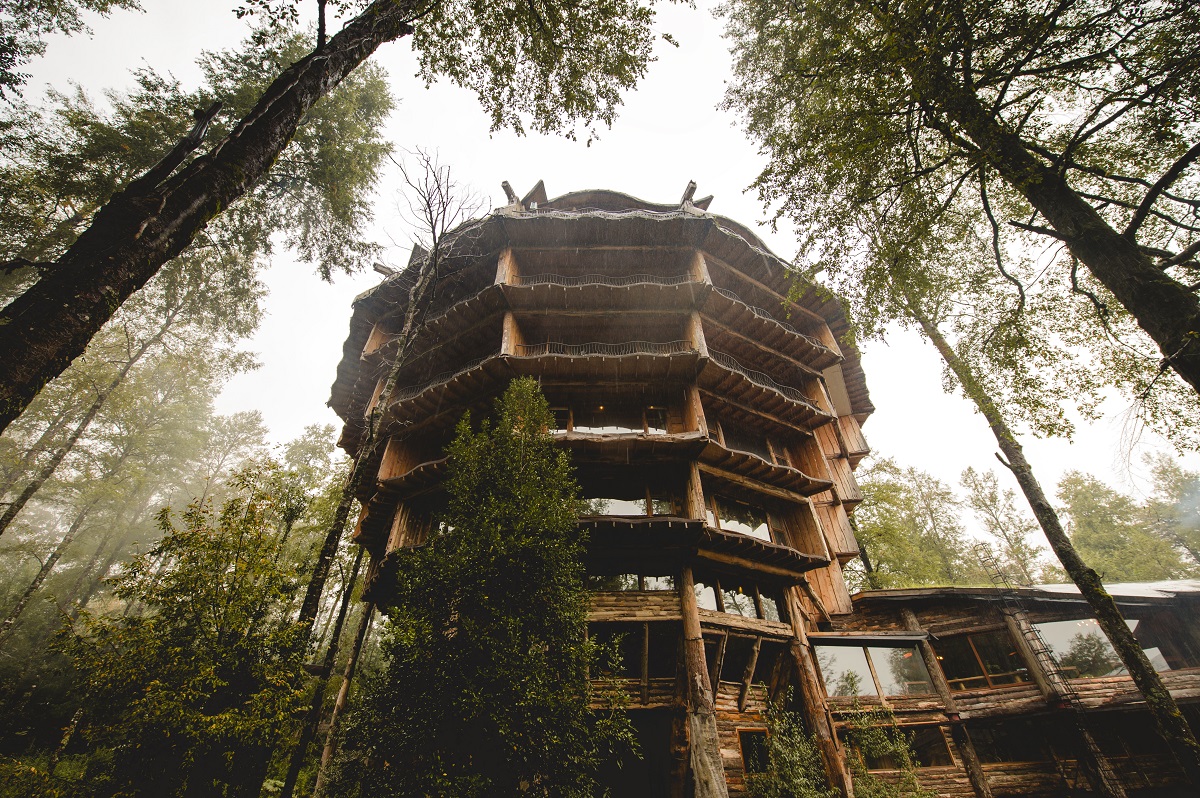 nothofagus hotel spa chile 10 Most Amazing Treehouse Hotels From Which You Would Never Wish To Check Out
