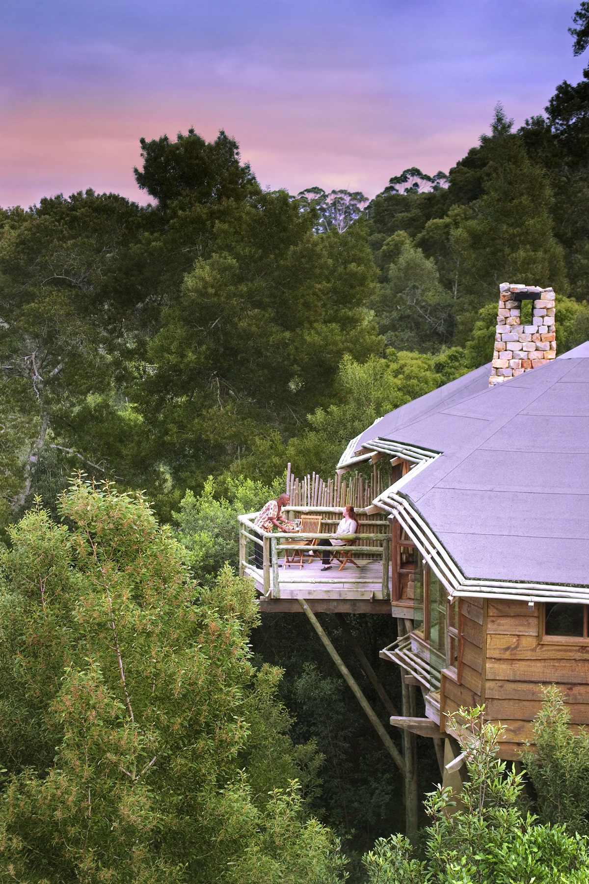 tsala treetop lodge south africa 10 Most Amazing Treehouse Hotels From Which You Would Never Wish To Check Out