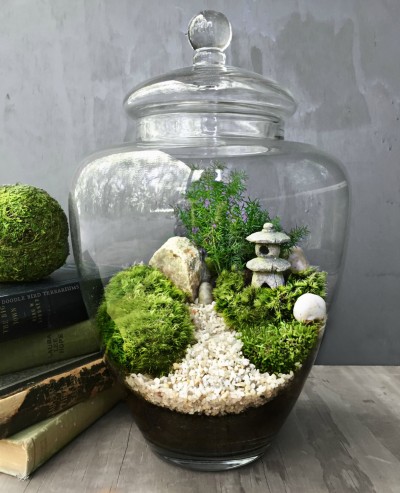 The Urban Grow - Terrarium