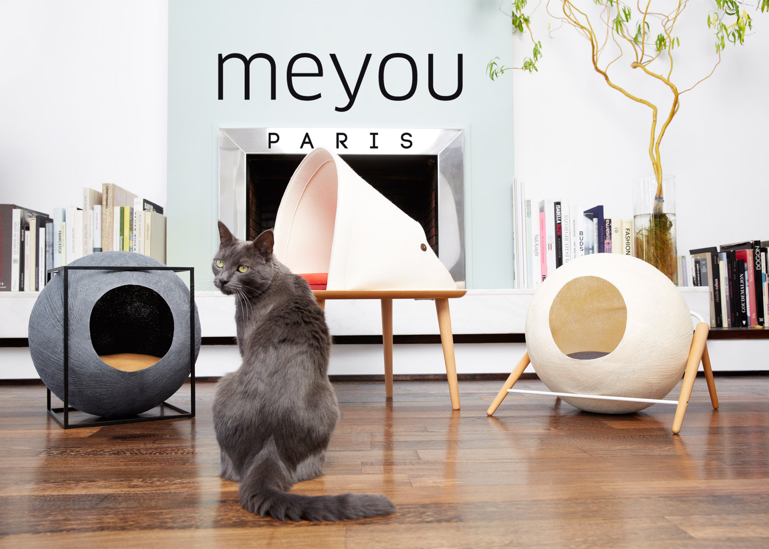 Interview With Meyou Paris