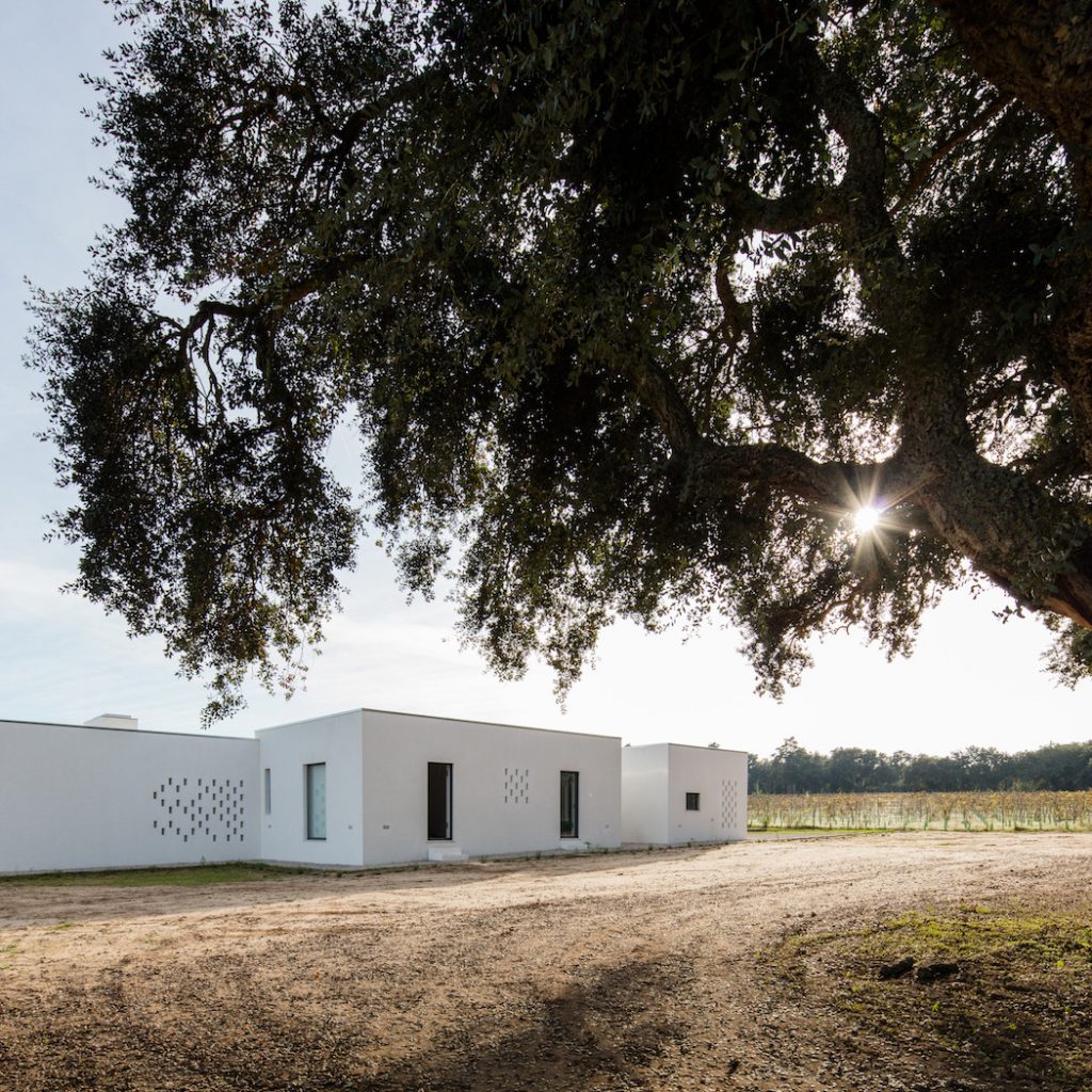 a minimal house in portugal surrounded by vines 12 1024x1024 a Minimal House in Portugal Surrounded by Vines