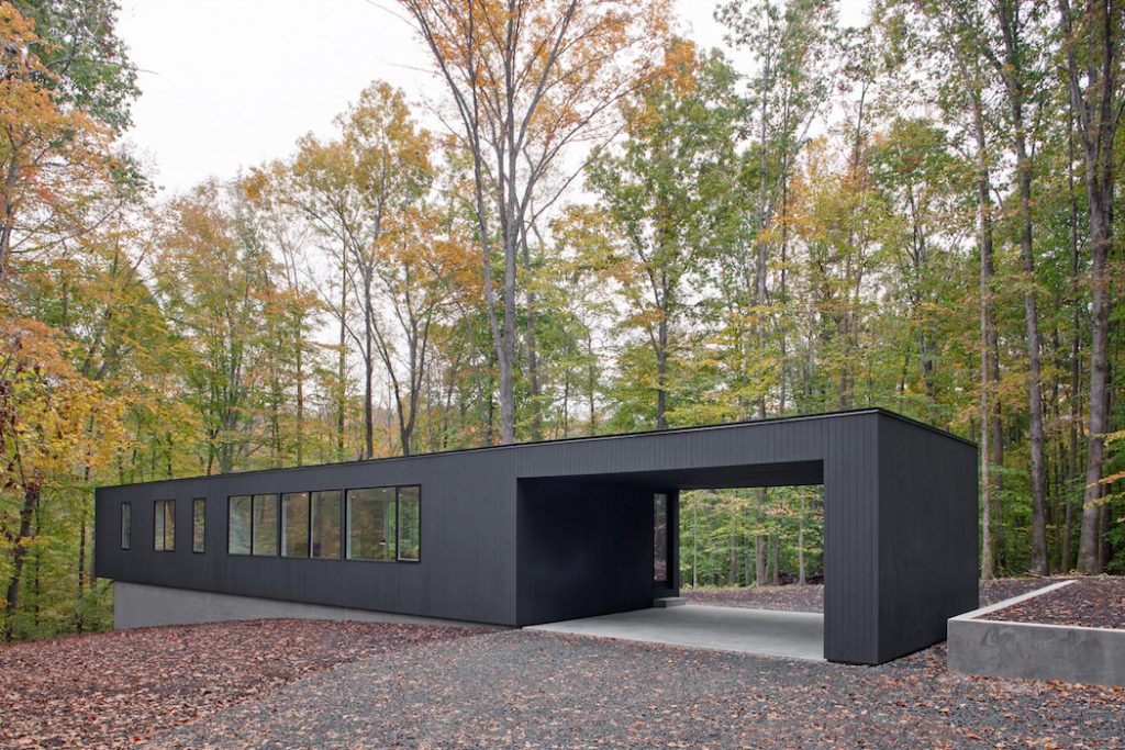 black house hidden in the forest by in situ studio 1 1024x683 Black House Hidden In The Forest By in situ studio