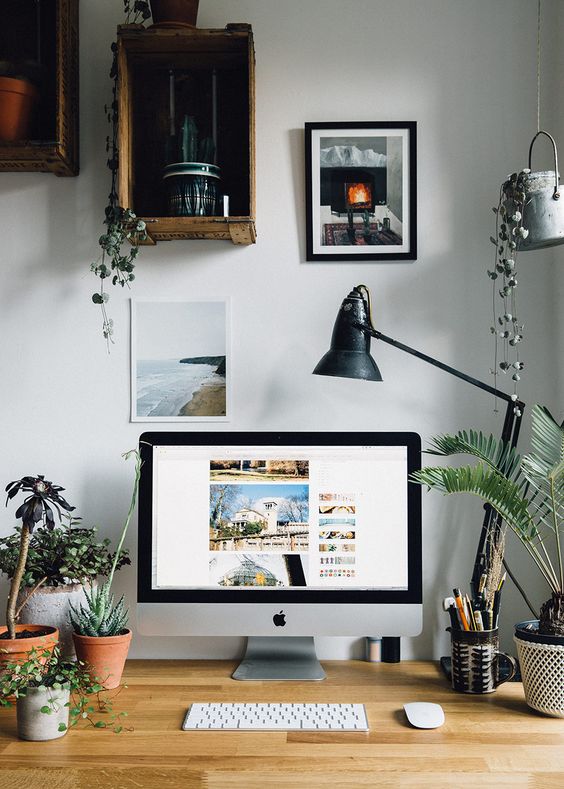 pictures and plants in a home office How To Create A More Productive Home Office Environment