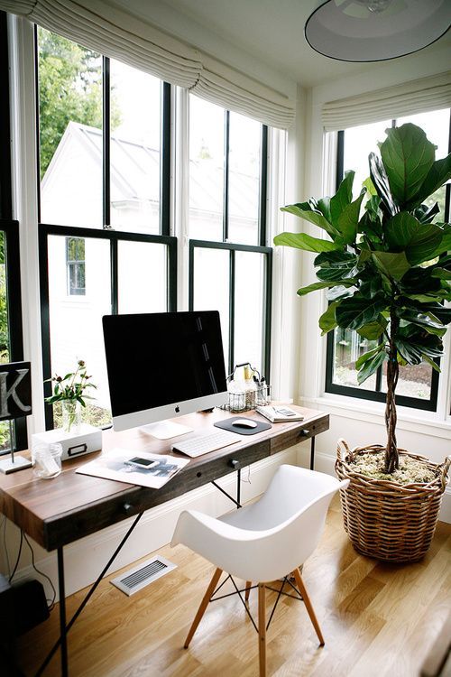plants in a home office How To Create A More Productive Home Office Environment