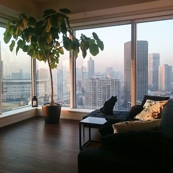 beautiful views from the bedroom Tips On How To Decorate The Interior Of A High Rise Apartment