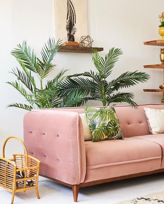 exotic plants in interior 7 Simple Tips to Bring the Beauty of the Outdoors in Your Home