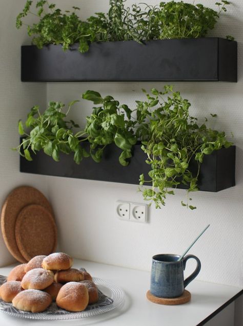 aromatic herbs in shelves 4 Easy Ways to Revive Your Kitchen Without a Complete Renovation