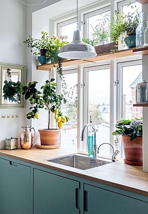 kitchen with lots of plants These 40+ Kitchen Decor Ideas Will Inspire You To Renovate Yours