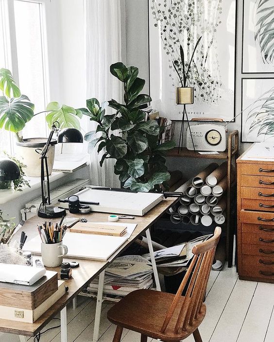 plants in your home office Can Optimal Indoor Quality Boost Your Productivity at Home?