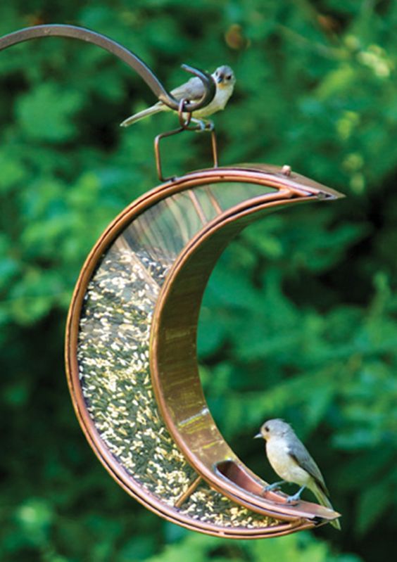 best bird feeders for garden