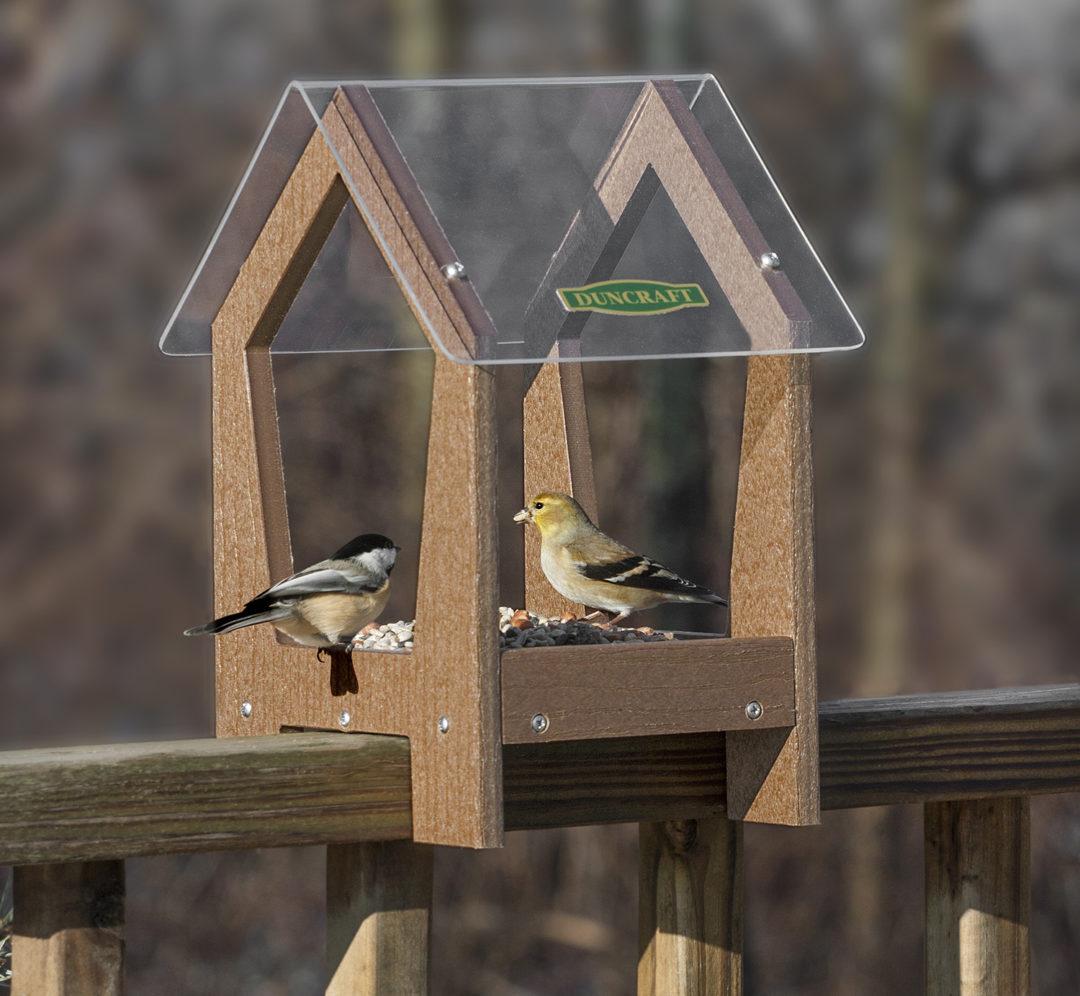 Best Bird Feeders To Attract Birds To Your Garden 🐦