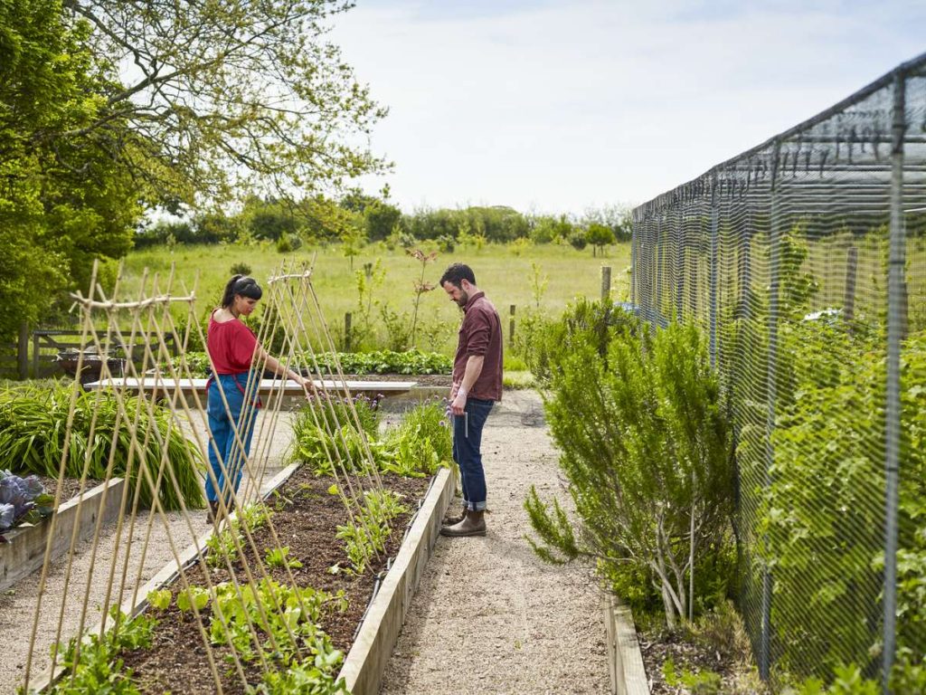 %name Farm Transformation Into a Co working Space for Creative Businesses