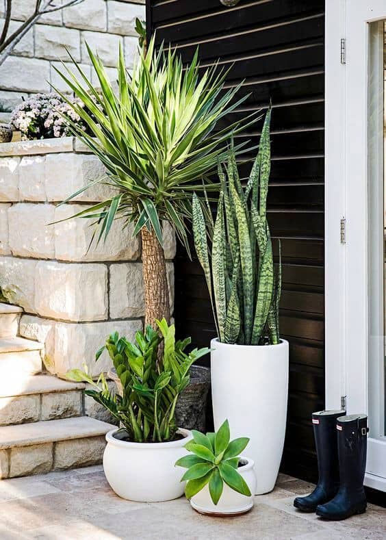 succulent planters 8 Landscape Ideas for Small Front Yards