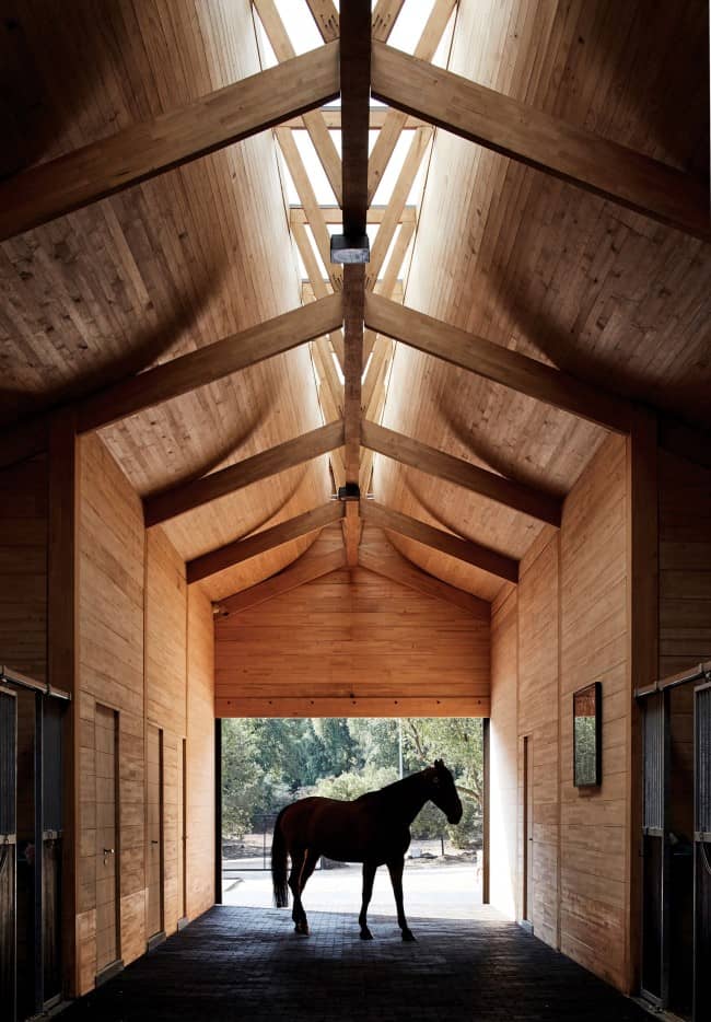 8 Tips on What Horse Shelter to Get