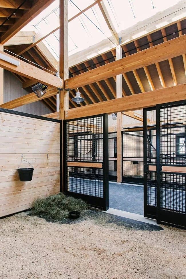 modern horse barn 8 Tips on What Horse Shelter to Get