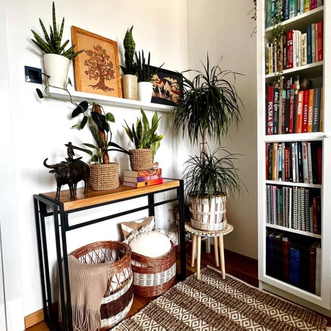 snake plant interior by greenandbeige boho jungle 4 Creative Solutions for Maximizing a Studio Apartment