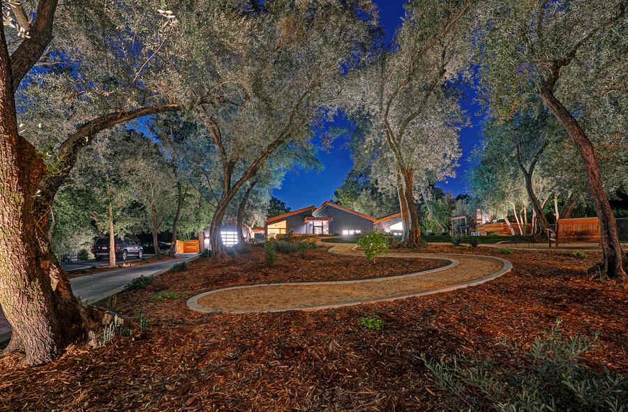 rear patio Harmonious Residence Among Olive Trees: A Seamless Blend of Spaces